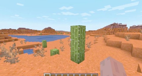 我的世界怎么种仙人掌