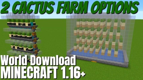 我的世界怎么种仙人掌[图1]