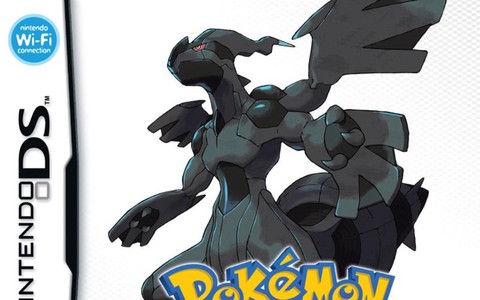 口袋妖怪黑怎么删档