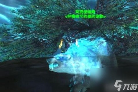 魔兽世界怎么丢宠物[图2]