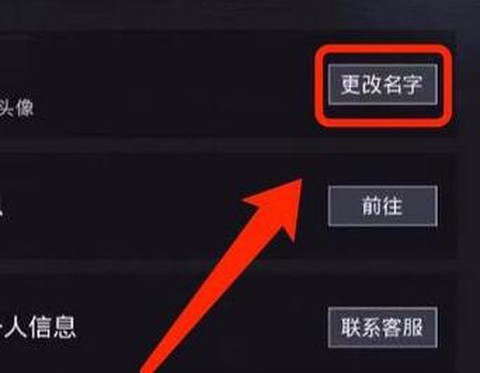 绝地求生怎么取名字[图2]