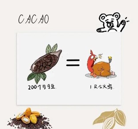 迷你世界可可豆怎么种[图2]